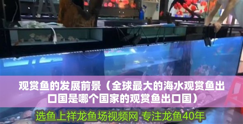 觀賞魚的發(fā)展前景（全球最大的海水觀賞魚出口國(guó)是哪個(gè)國(guó)家的觀賞魚出口國(guó)）