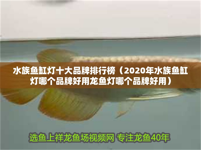 水族魚缸燈十大品牌排行榜（2020年水族魚缸燈哪個品牌好用龍魚燈哪個品牌好用）