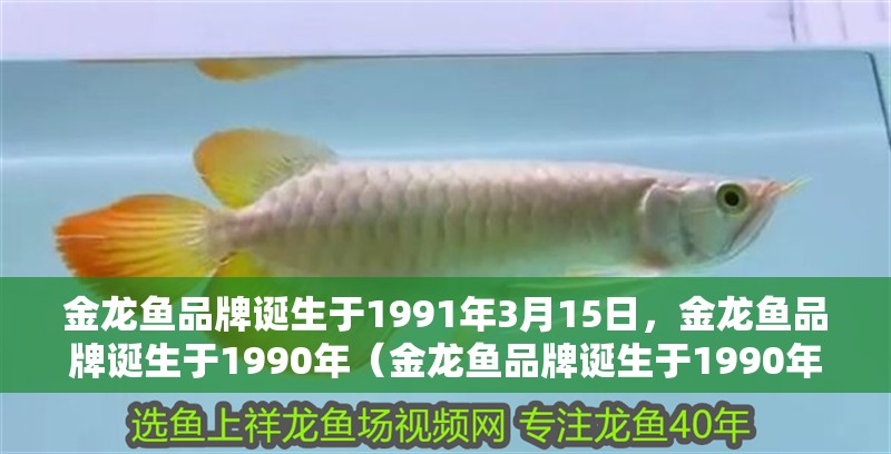 金龍魚品牌誕生于1991年3月15日，金龍魚品牌誕生于1990年（金龍魚品牌誕生于1990年8月28日） 金龍魚品牌誕生于1991年3月15日，金龍魚品牌誕生于1990年（金龍魚品牌誕生于1990年8月28日） 觀賞魚百科 第2張