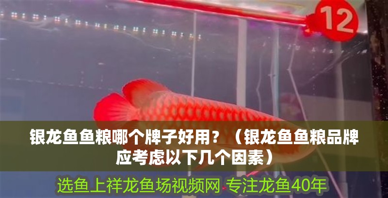 銀龍魚魚糧哪個牌子好用？（銀龍魚魚糧品牌應考慮以下幾個因素）