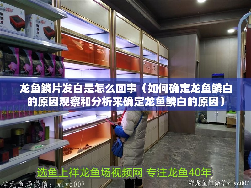 龍魚鱗片發(fā)白是怎么回事（如何確定龍魚鱗白的原因觀察和分析來確定龍魚鱗白的原因）
