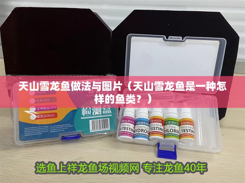 天山雪龍魚做法與圖片（天山雪龍魚是一種怎樣的魚類？）