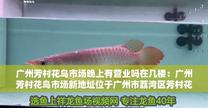 廣州芳村花鳥市場晚上有營業嗎在幾樓：廣州芳村花鳥市場新地址位于廣州市荔灣區芳村花鳥市場