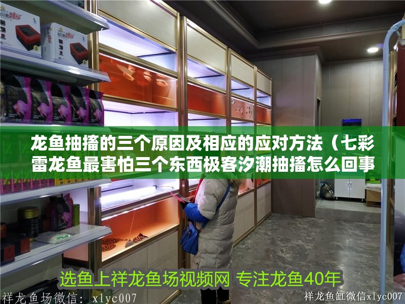 龍魚抽搐的三個原因及相應的應對方法（七彩雷龍魚最害怕三個東西極客汐潮抽搐怎么回事）