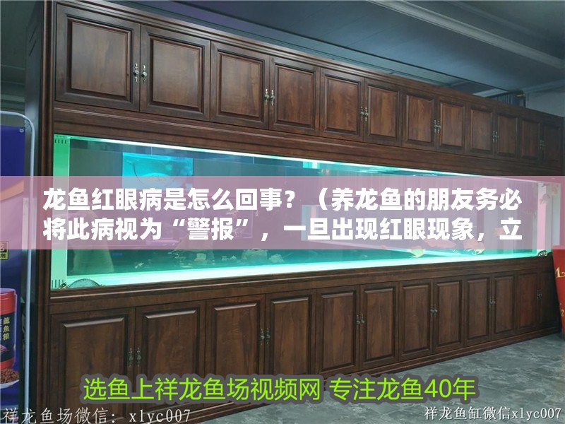 龍魚紅眼病是怎么回事？（養龍魚的朋友務必將此病視為“警報”，一旦出現紅眼現象，立刻行動）