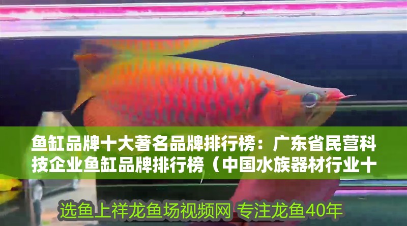 魚缸品牌十大著名品牌排行榜：廣東省民營科技企業魚缸品牌排行榜（中國水族器材行業十大品牌）