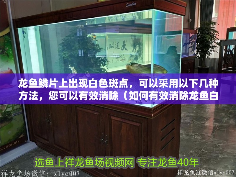 龍魚鱗片上出現白色斑點，可以采用以下幾種方法，您可以有效消除（如何有效消除龍魚白點病） 龍魚鱗片上出現白色斑點，可以采用以下幾種方法，您可以有效消除（如何有效消除龍魚白點病） 龍魚百科 第3張