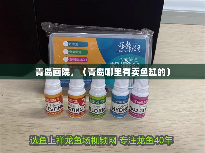 青島畫院，（青島哪里有賣魚缸的）