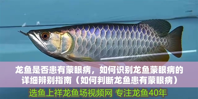 龍魚是否患有蒙眼病，如何識別龍魚蒙眼病的詳細(xì)辨別指南（如何判斷龍魚患有蒙眼病）