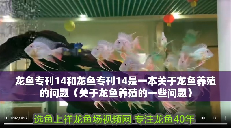 龍魚專刊14和龍魚專刊14是一本關于龍魚養殖的問題（關于龍魚養殖的一些問題）