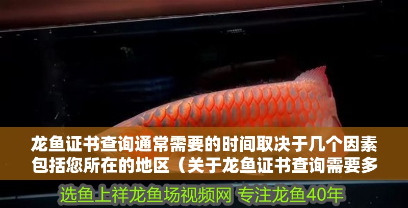 龍魚證書查詢通常需要的時間取決于幾個因素包括您所在的地區（關于龍魚證書查詢需要多長時間？） 龍魚證書查詢通常需要的時間取決于幾個因素包括您所在的地區（關于龍魚證書查詢需要多長時間？） 龍魚百科 第2張