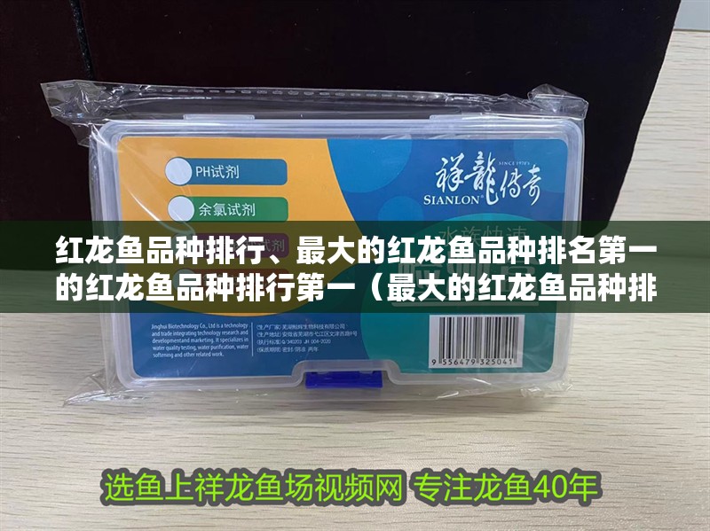 紅龍魚品種排行、最大的紅龍魚品種排名第一的紅龍魚品種排行第一（最大的紅龍魚品種排名第一）
