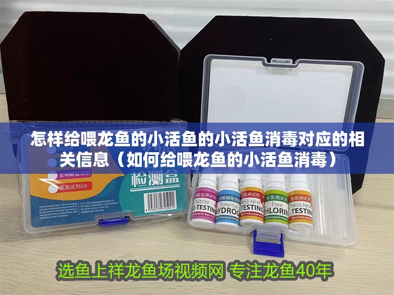 怎樣給喂龍魚的小活魚的小活魚消毒對應的相關信息（如何給喂龍魚的小活魚消毒） 怎樣給喂龍魚的小活魚的小活魚消毒對應的相關信息（如何給喂龍魚的小活魚消毒） 觀賞魚百科 第2張