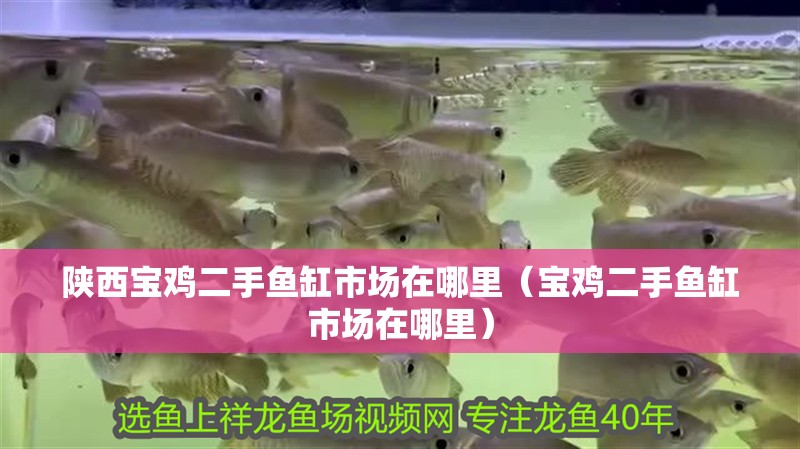 陜西寶雞二手魚缸市場(chǎng)在哪里（寶雞二手魚缸市場(chǎng)在哪里）