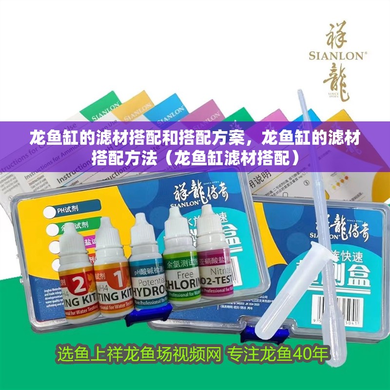 龍魚缸的濾材搭配和搭配方案，龍魚缸的濾材搭配方法（龍魚缸濾材搭配） 龍魚缸的濾材搭配和搭配方案，龍魚缸的濾材搭配方法（龍魚缸濾材搭配） 觀賞魚百科 第2張