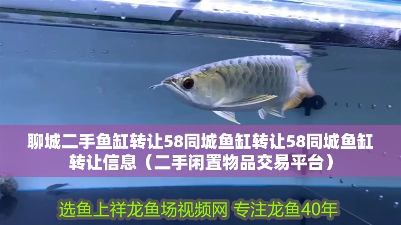 聊城二手魚缸轉(zhuǎn)讓58同城魚缸轉(zhuǎn)讓58同城魚缸轉(zhuǎn)讓信息（二手閑置物品交易平臺(tái)）