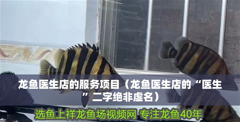 龍魚醫生店的服務項目（龍魚醫生店的“醫生”二字絕非虛名）