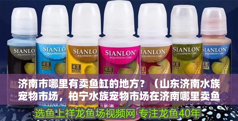 濟南市哪里有賣魚缸的地方？（山東濟南水族寵物市場，柏寧水族寵物市場在濟南哪里賣魚缸配件）