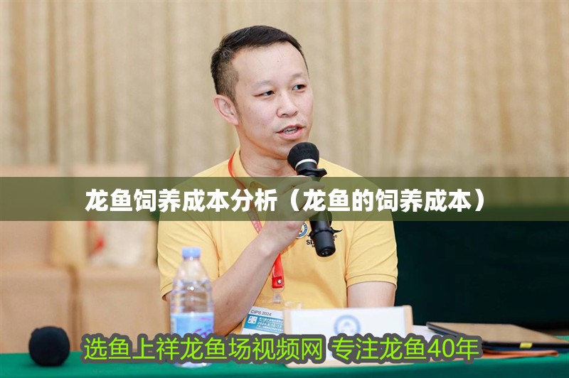 龍魚飼養(yǎng)成本分析（龍魚的飼養(yǎng)成本）
