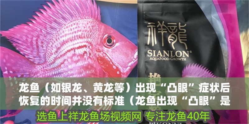 龍魚（如銀龍、黃龍等）出現“凸眼”癥狀后恢復的時間并沒有標準（龍魚出現“凸眼”是否會復發）