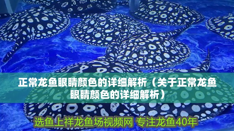 正常龍魚眼睛顏色的詳細解析（關于正常龍魚眼睛顏色的詳細解析）