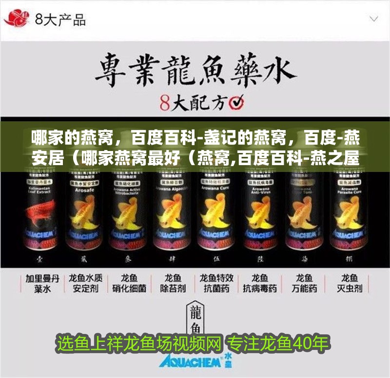 哪家的燕窩，百度百科-盞記的燕窩，百度-燕安居（哪家燕窩最好（燕窩,百度百科-燕之屋、周豐豐燕窩、周豐豐燕窩））