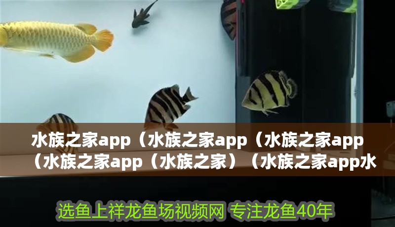 水族之家app（水族之家app（水族之家app（水族之家app（水族之家）（水族之家app水族之家app）