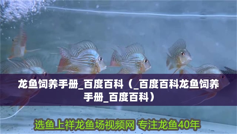 龍魚飼養(yǎng)手冊_百度百科（_百度百科龍魚飼養(yǎng)手冊_百度百科）