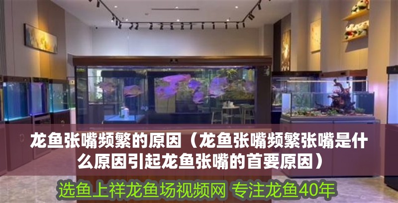 龍魚張嘴頻繁的原因（龍魚張嘴頻繁張嘴是什么原因引起龍魚張嘴的首要原因）