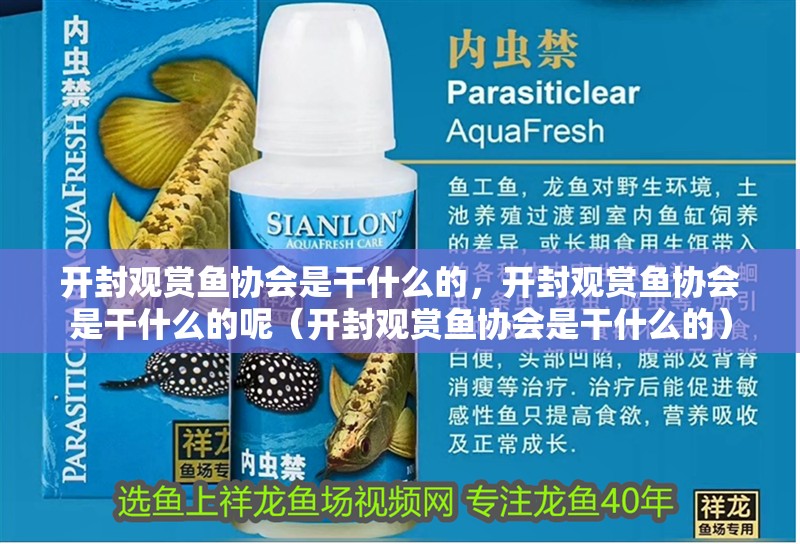 開(kāi)封觀賞魚(yú)協(xié)會(huì)是干什么的，開(kāi)封觀賞魚(yú)協(xié)會(huì)是干什么的呢（開(kāi)封觀賞魚(yú)協(xié)會(huì)是干什么的）