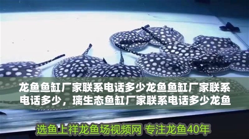 龍魚魚缸廠家聯系電話多少龍魚魚缸廠家聯系電話多少，璃生態魚缸廠家聯系電話多少龍魚魚缸廠家聯系電話多少