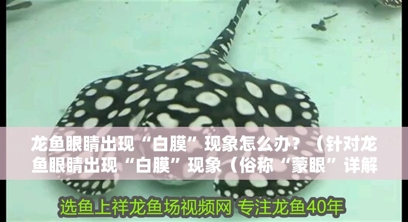 龍魚眼睛出現“白膜”現象怎么辦？（針對龍魚眼睛出現“白膜”現象（俗稱“蒙眼”詳解攻略））