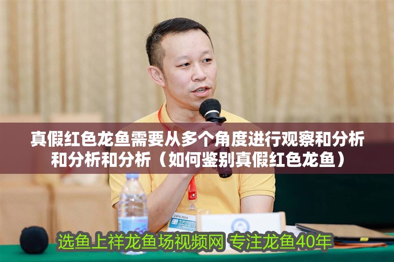 真假紅色龍魚需要從多個角度進行觀察和分析和分析和分析（如何鑒別真假紅色龍魚）