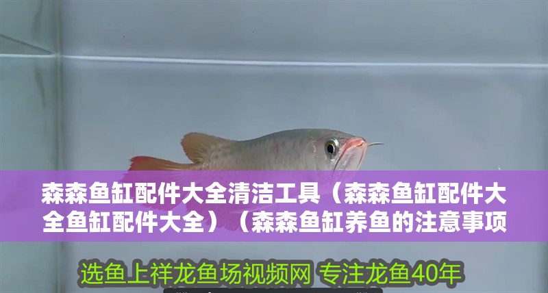 森森魚缸配件大全清潔工具（森森魚缸配件大全魚缸配件大全）（森森魚缸養魚的注意事項）
