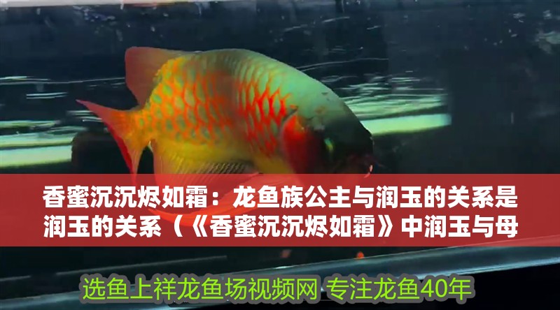 香蜜沉沉燼如霜：龍魚族公主與潤玉的關系是潤玉的關系（《香蜜沉沉燼如霜》中潤玉與母親的關系是什么？）
