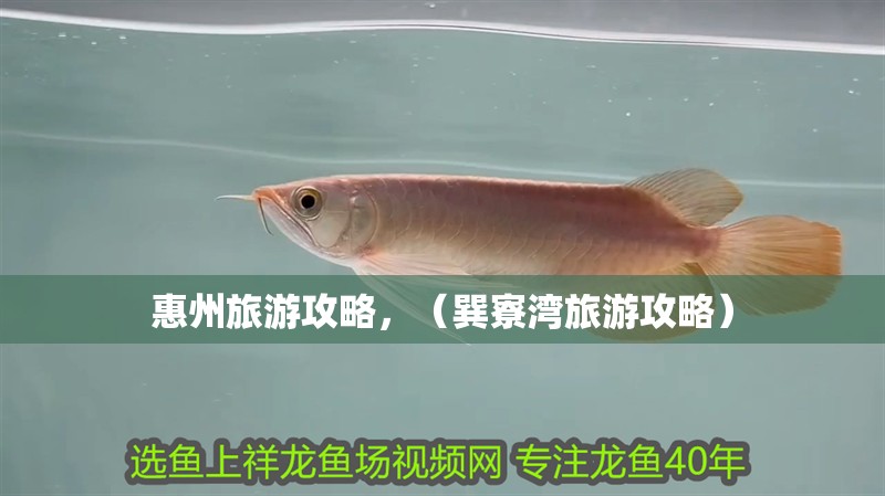 惠州旅游攻略，（巽寮灣旅游攻略）