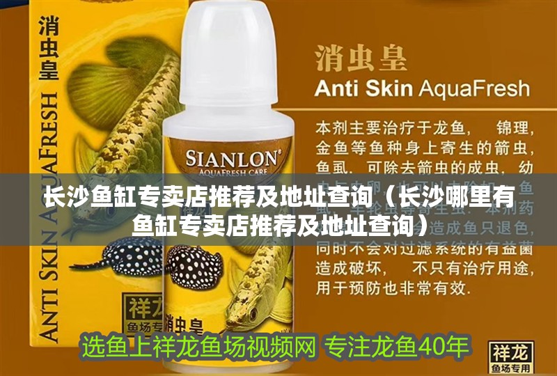 長沙魚缸專賣店推薦及地址查詢（長沙哪里有魚缸專賣店推薦及地址查詢）