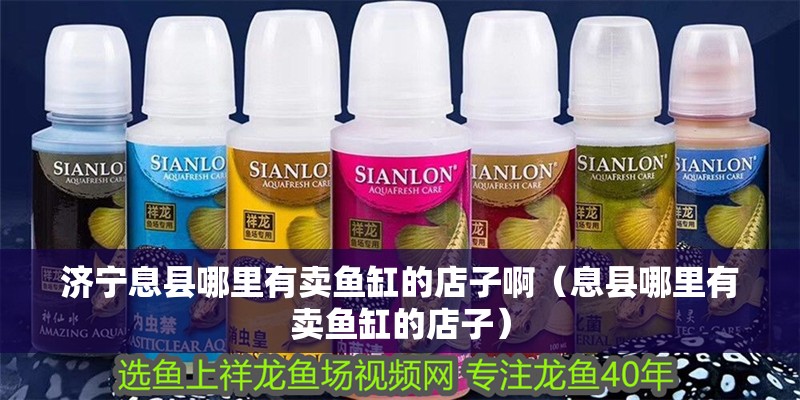 濟(jì)寧息縣哪里有賣魚缸的店子啊（息縣哪里有賣魚缸的店子）