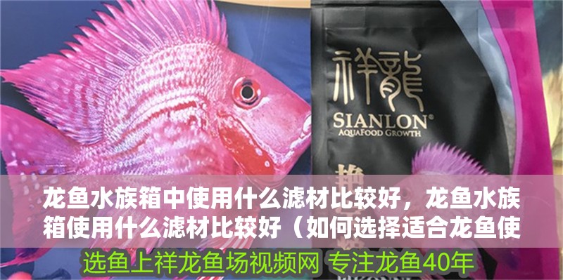 龍魚水族箱中使用什么濾材比較好，龍魚水族箱使用什么濾材比較好（如何選擇適合龍魚使用的濾材）