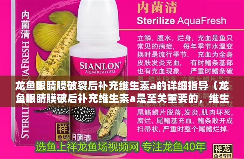 龍魚眼睛膜破裂后補充維生素a的詳細指導（龍魚眼睛膜破后補充維生素a是至關重要的，維生素a是至關重要的）