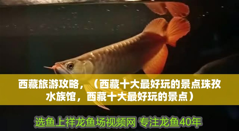 西藏旅游攻略，（西藏十大最好玩的景點珠孜水族館，西藏十大最好玩的景點）