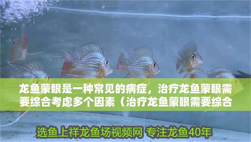 龍魚蒙眼是一種常見的病癥，治療龍魚蒙眼需要綜合考慮多個因素（治療龍魚蒙眼需要綜合考慮多個因素以下是一些建議） 龍魚蒙眼是一種常見的病癥，治療龍魚蒙眼需要綜合考慮多個因素（治療龍魚蒙眼需要綜合考慮多個因素以下是一些建議） 龍魚百科 第2張
