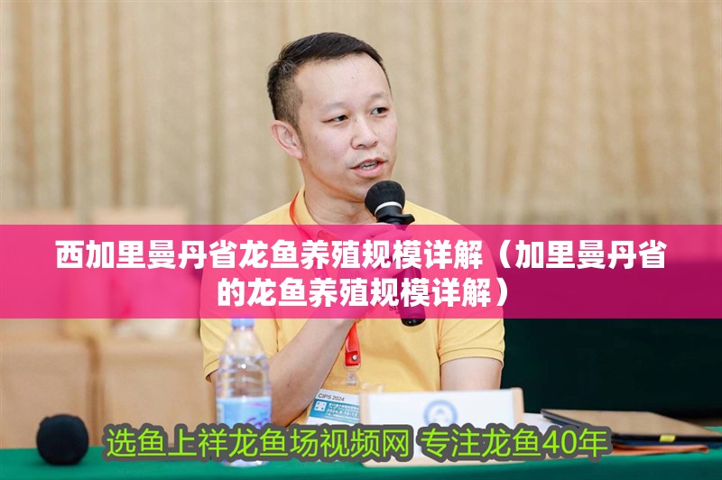 西加里曼丹省龍魚養殖規模詳解（加里曼丹省的龍魚養殖規模詳解）