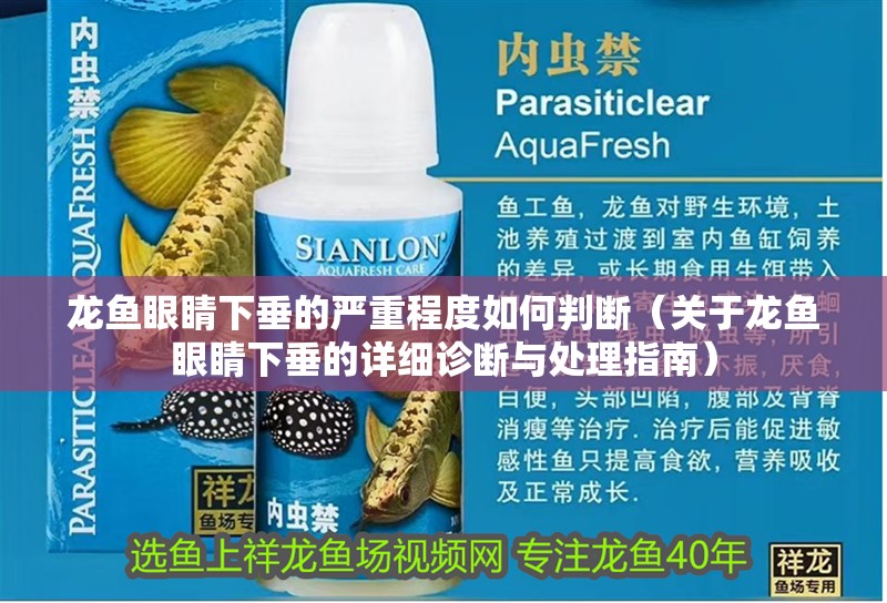 龍魚眼睛下垂的嚴重程度如何判斷（關于龍魚眼睛下垂的詳細診斷與處理指南）