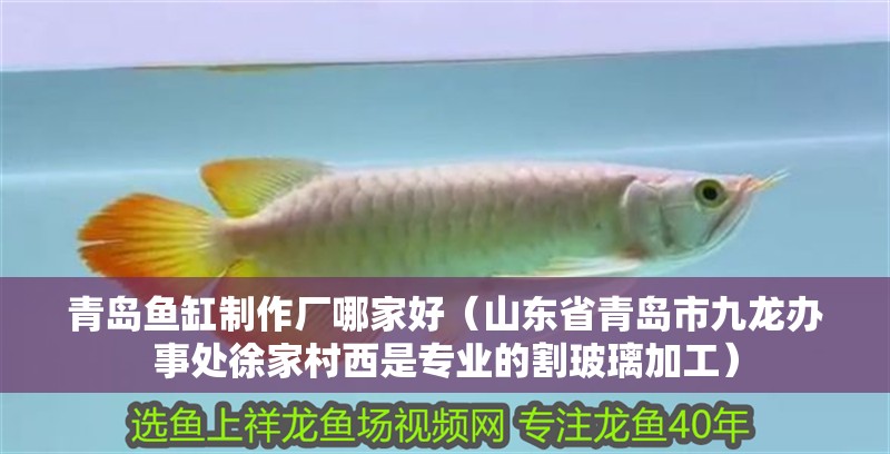 青島魚缸制作廠哪家好（山東省青島市九龍辦事處徐家村西是專業的割玻璃加工）