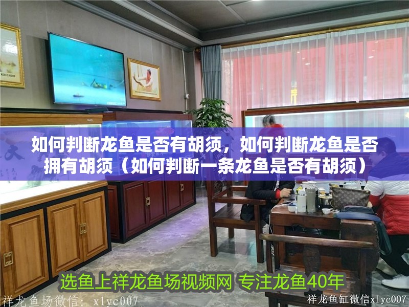 如何判斷龍魚是否有胡須，如何判斷龍魚是否擁有胡須（如何判斷一條龍魚是否有胡須）