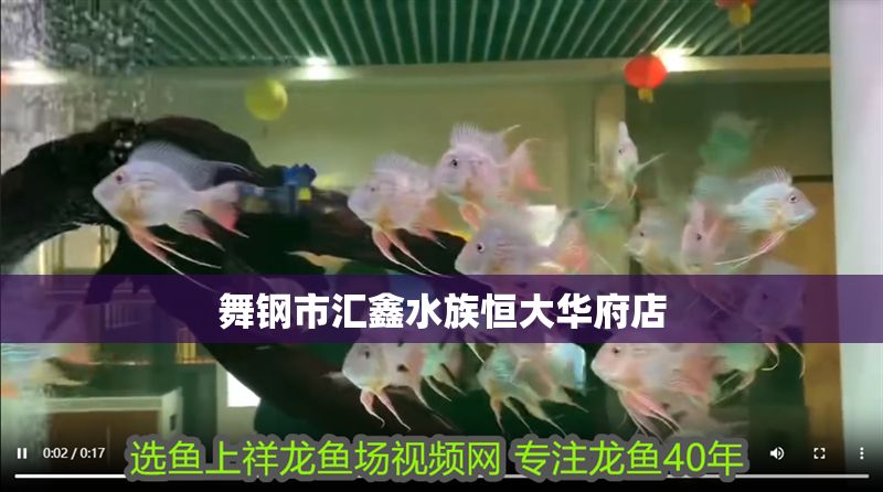 舞鋼市匯鑫水族恒大華府店