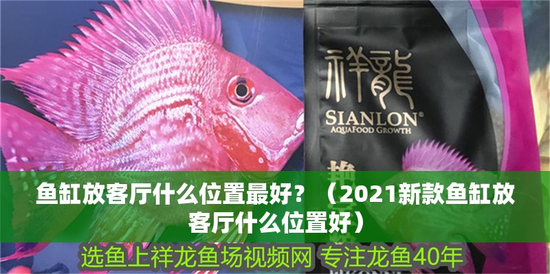 魚缸放客廳什么位置最好？（2021新款魚缸放客廳什么位置好）