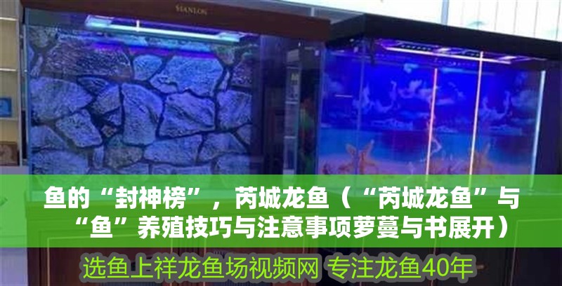 魚的“封神榜”，芮城龍魚（“芮城龍魚”與“魚”養殖技巧與注意事項蘿蔓與書展開）