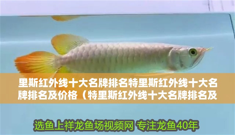 里斯紅外線十大名牌排名特里斯紅外線十大名牌排名及價格（特里斯紅外線十大名牌排名及其對應的價格）